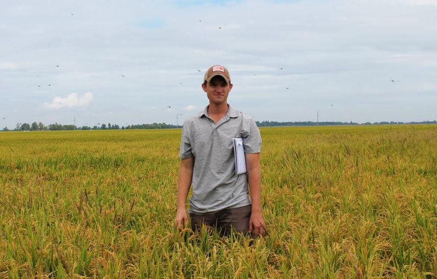 David stands in a rice field.