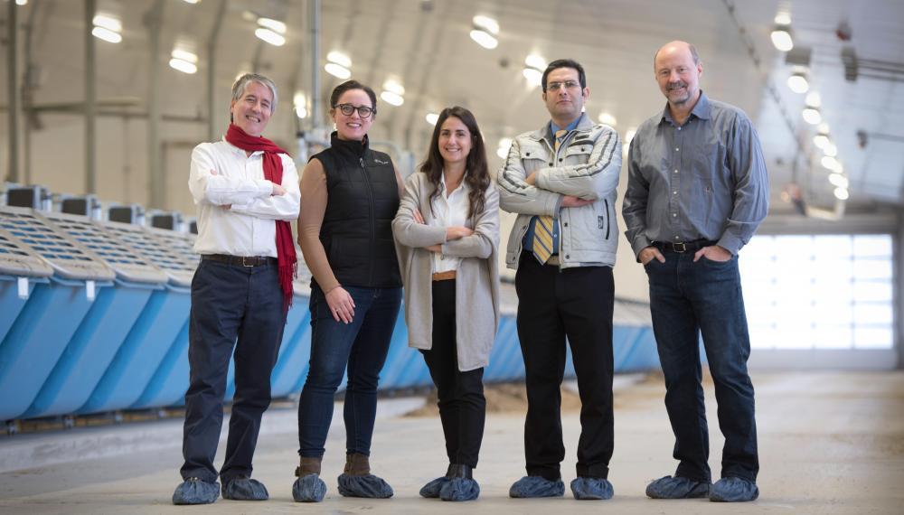 Smiling group photo featuring Dr. Christine Baes, Dr. Flavio Schenkel, and Dr. Saeed Shadpour from the Department of Animal Biosciences at the Ontario Agricultural College, along with Dr. Filippo Miglior from Lactanet Canada and Dr. Francesca Malchiodi from Semex