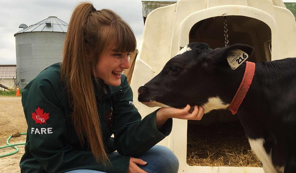 Amy kneels down to pet a calf.