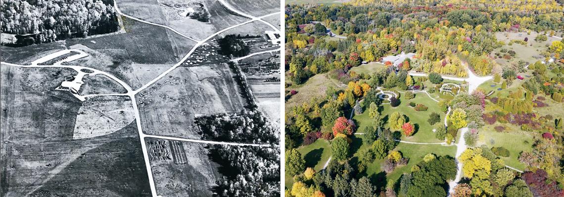 A black and white image of bare fields compared with a colour photo of green forests