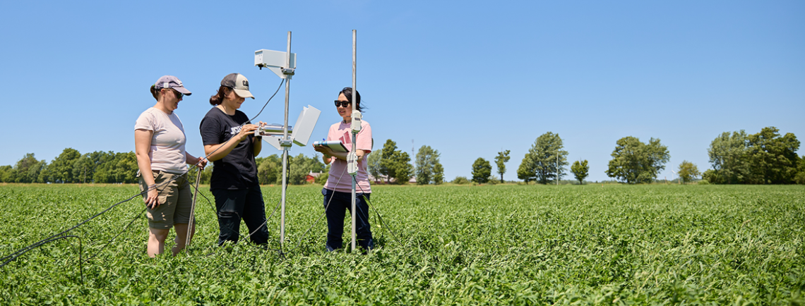students standing in a bean field
