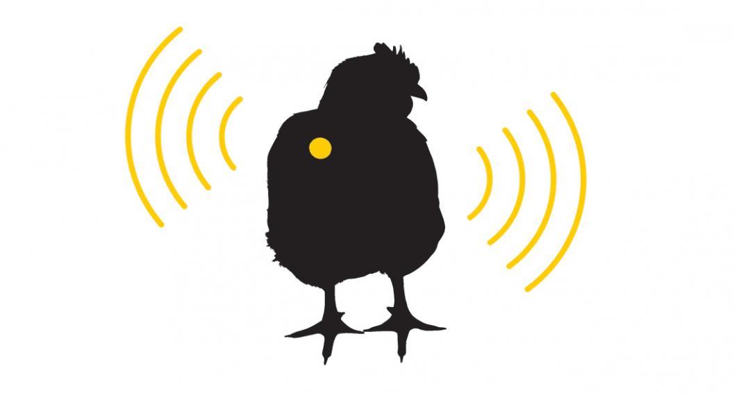 Silhouette of chicken with yellow dot and signals surrounding it