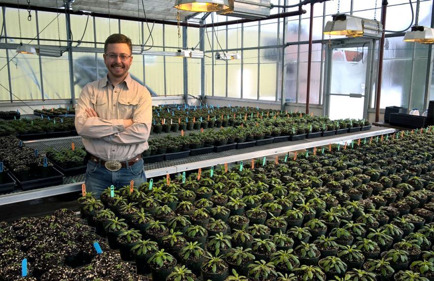 Chris stands in a greenhouse with rows of small green plants in containers