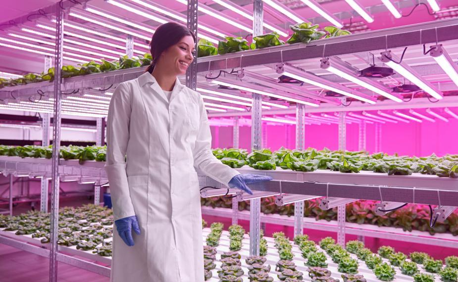 a women in an indoor farm, with lettuce growing in the background
