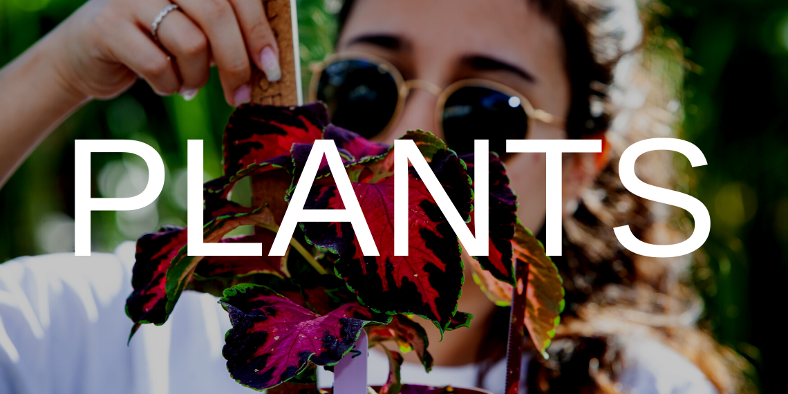 A student measuring a plant, with the text "Plants" overlaid.