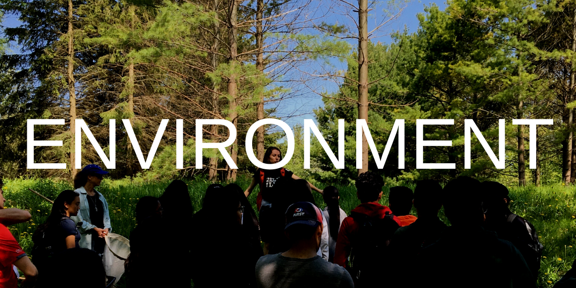Students getting a lesson about trees outside with the word "environment"