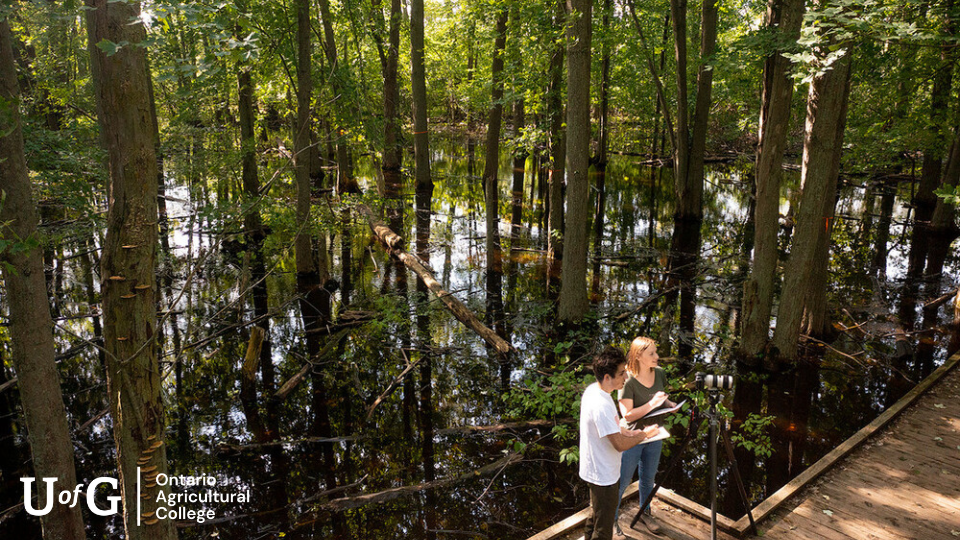 Two individuals stand in the Arboretum in front of a standing camera.
