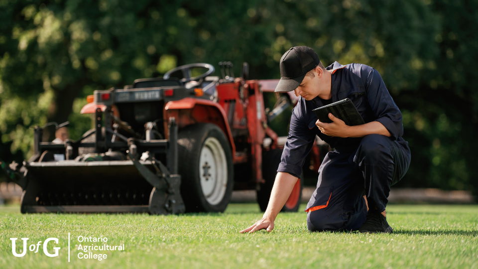A man reaches down and touches the turf with a tractor placed behind him.