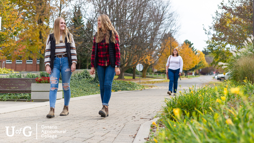 Two women walk together smiling on Guelph's Ridgetown campus.