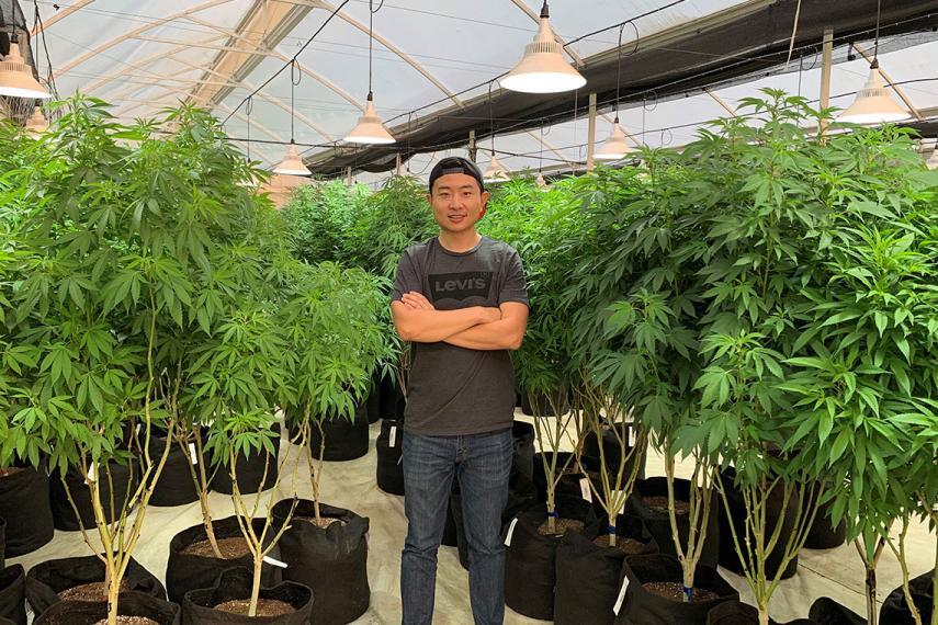 Peter in t-shirt stands amongst large cannabis plants