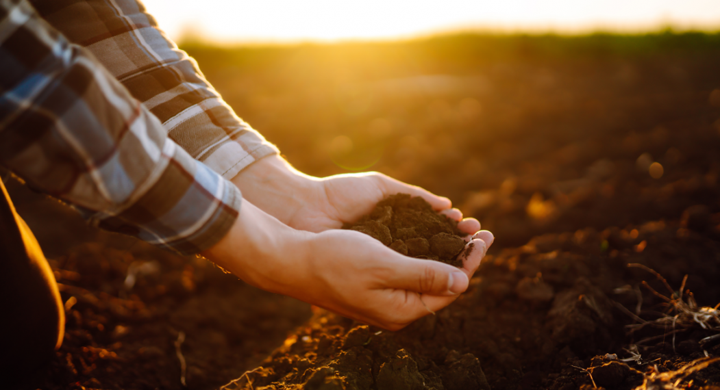 a hand holding soil on a farm with the sun shining brightly