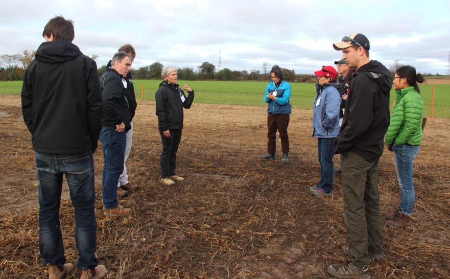 People stand out in bare field