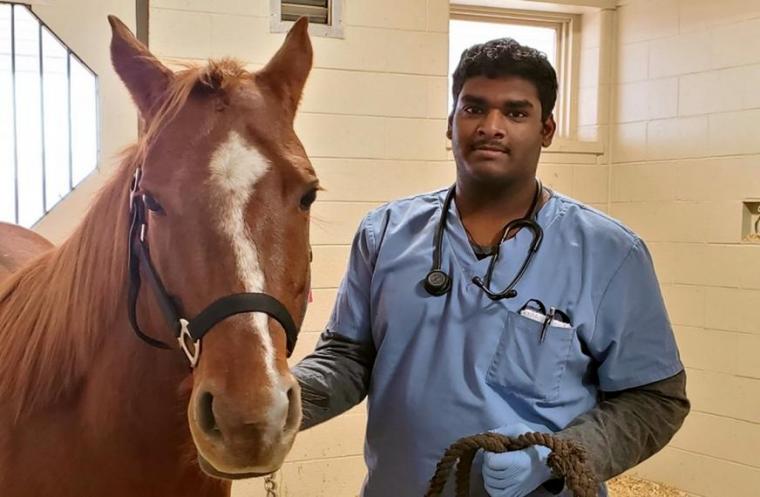 Keerthehan stands in blue scrubs with a brown horse
