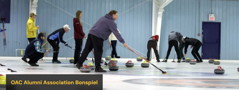 several alumni curling at a rink