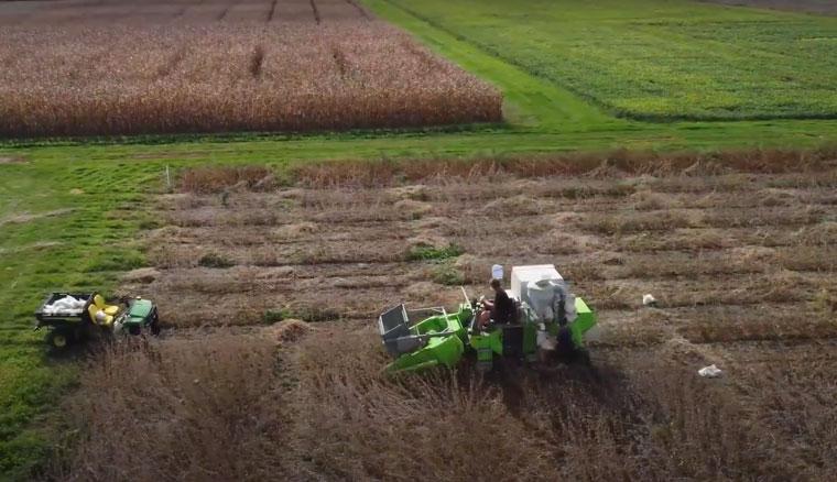 Small combine removes crop from test plot field