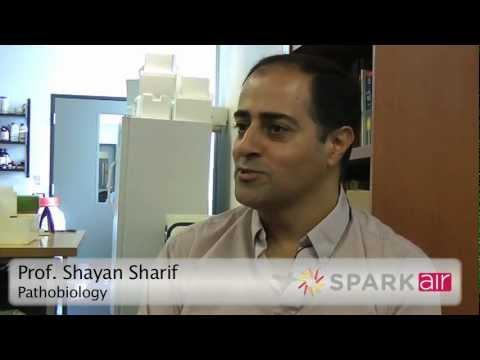 Pathobiology Professor Shayan Sharif
