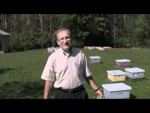 Dr. Ernesto Guzman, Professor and Director of the Honey Bee Research Centre