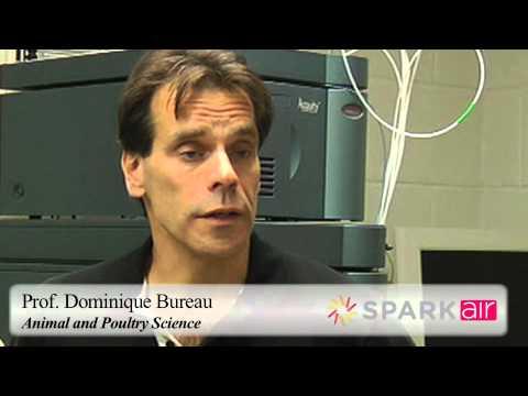 Animal and Poultry Science Professor Dominique Bureau