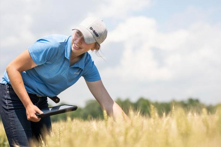 Madeline leans over and touches wheat in a field with ipad in other hand