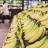 Bananas in a grocery store.