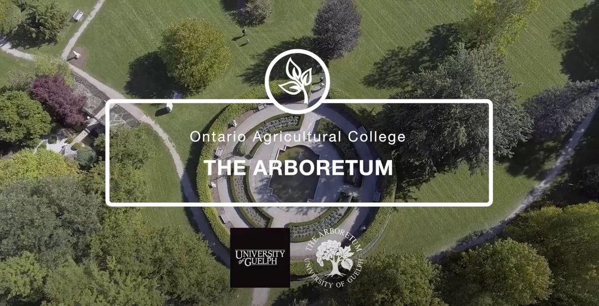 An aerial view of the Arboretum with text, "The Arboretum, Ontario Agricultural College."