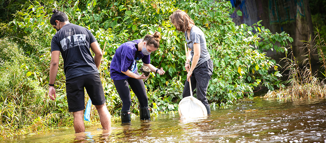 Three student wade through a river with nets.