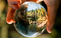 A person holding a clear glass ball with a reflection of a forest and a lake.