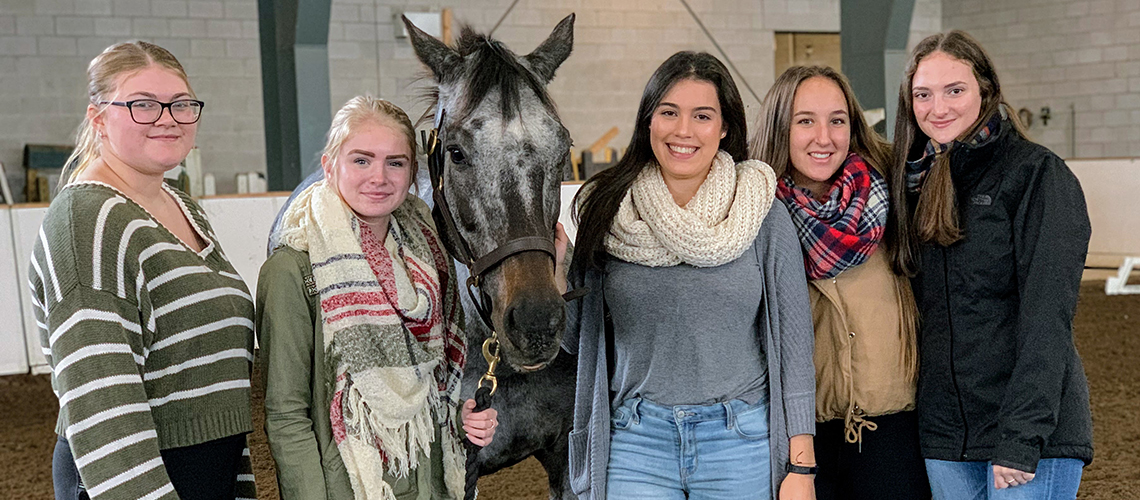 Five students in a horse barn pose with a grey horse.