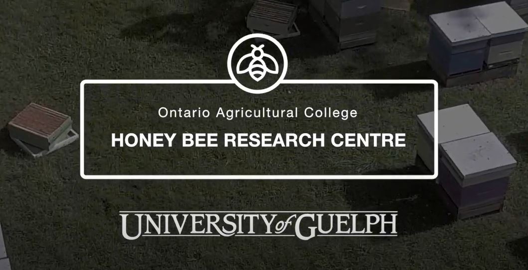 An aerial view of a bee yard with text, "Honey Bee Research Centre."