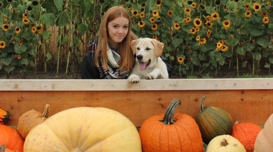 Hannah in front of sunflowers and pumpkins with her dog.