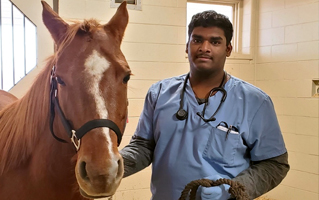 Photo of Keerth standing with a brown horse