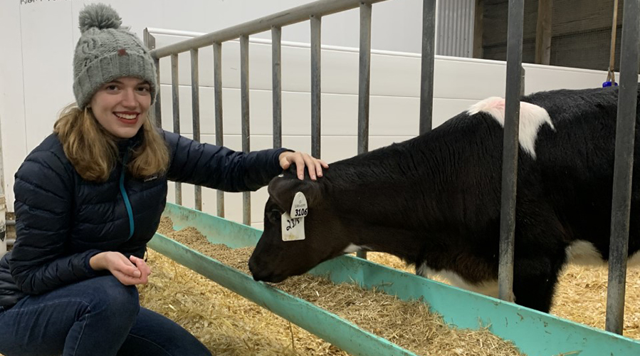 Oresta in a barn with a dairy calf. 