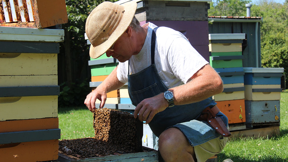 Paul working in the bee yard.
