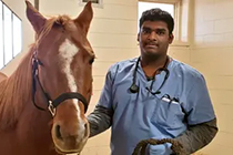 Photo of Keerth standing with a brown horse