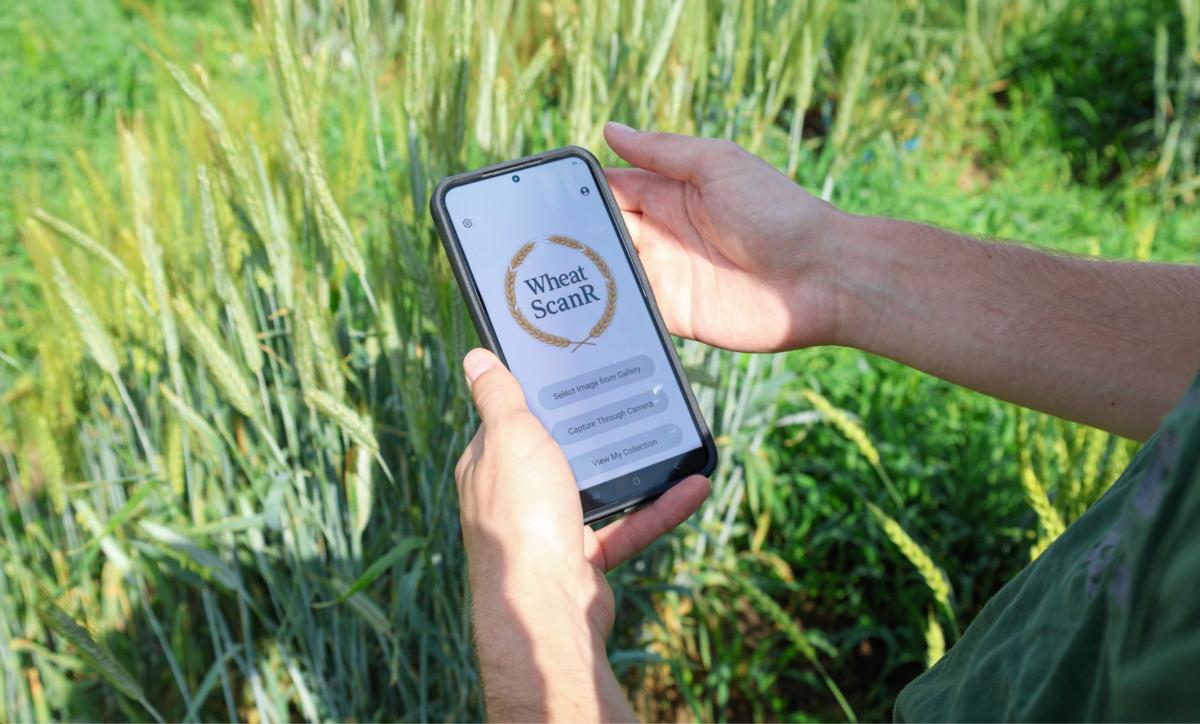 a phone showing the wheatr app