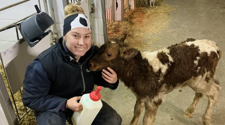 Suzanne in a barn with a calf.