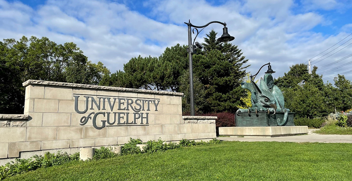 A brick wall with Univeirtsy of Guelph letters beside a gryphon statue.