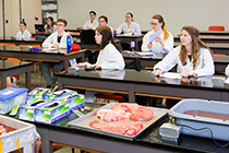 Group of students sit in lab with specimens