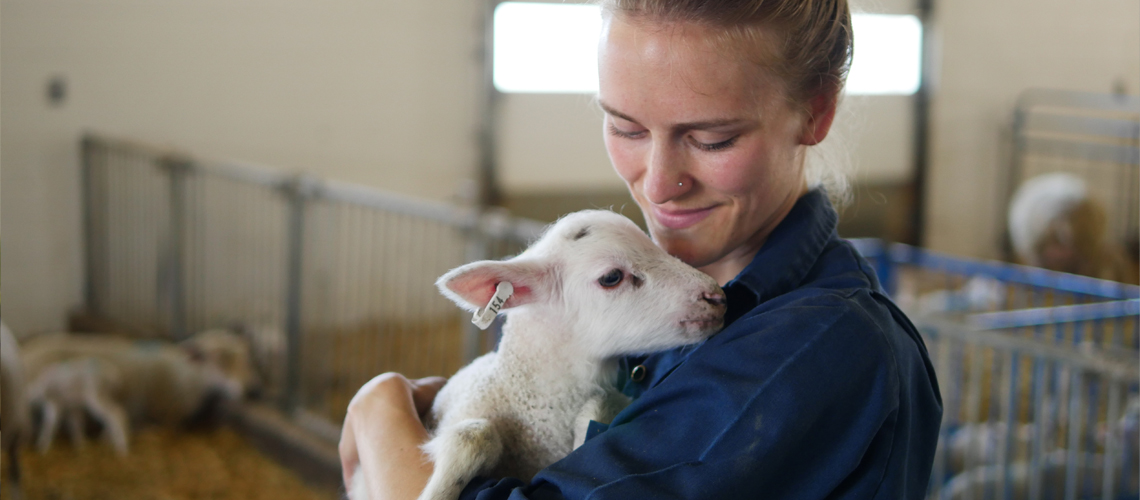 Female student holding a small white lamb