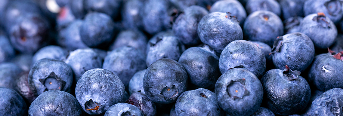 Fresh blueberries grown in Canada.