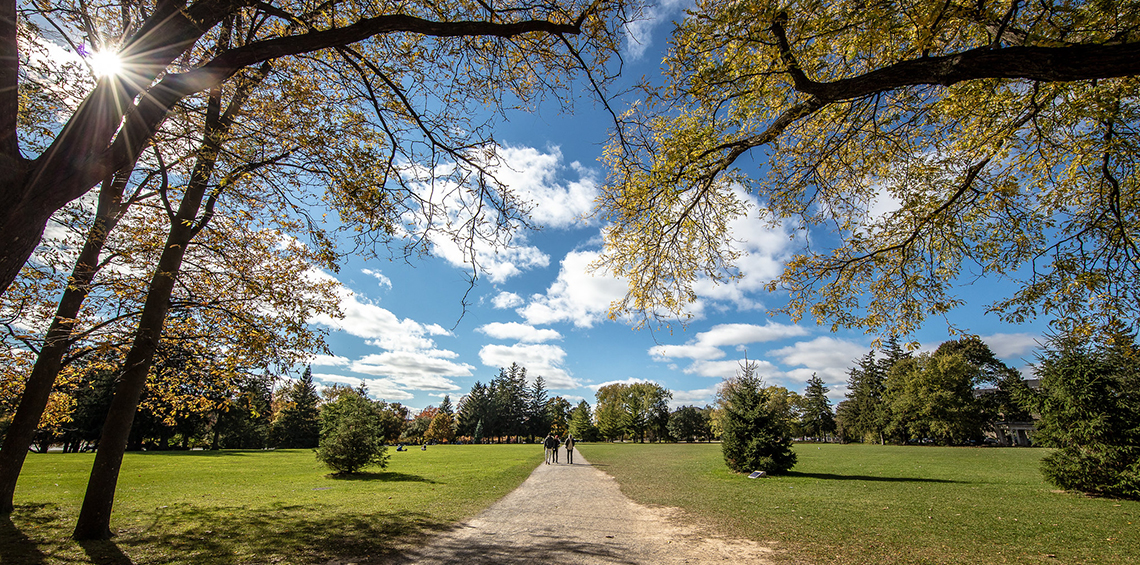 A sunny day on campus.