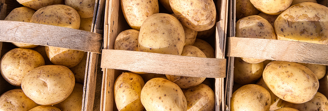 Three baskets of yukon gold potatoes.
