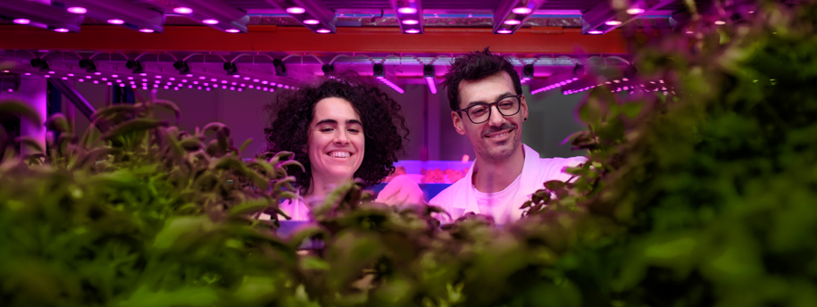 two scientist inspecting plants in a vertical farming operation