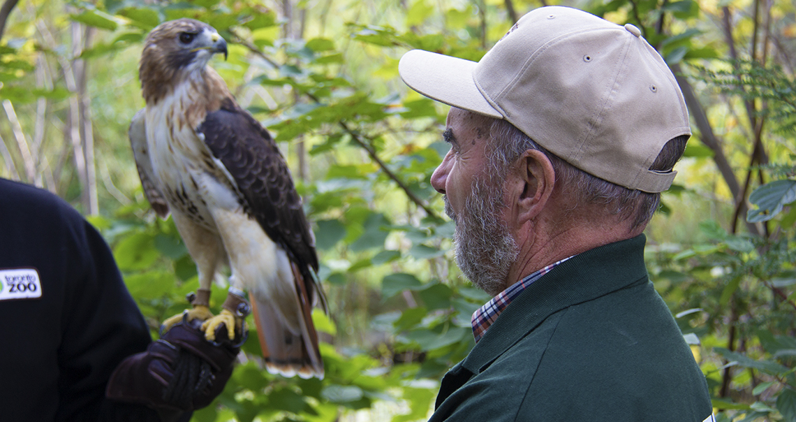 Dave looks at a hawk.