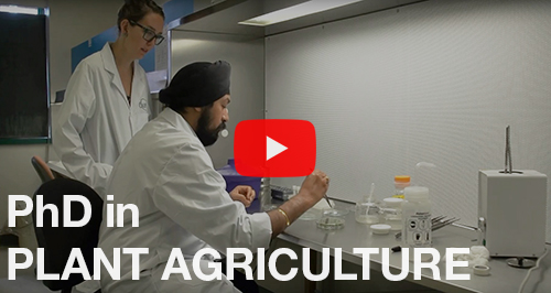 Two students working in a lab with a play button overlaid and the words PhD in Plant Agriculture.