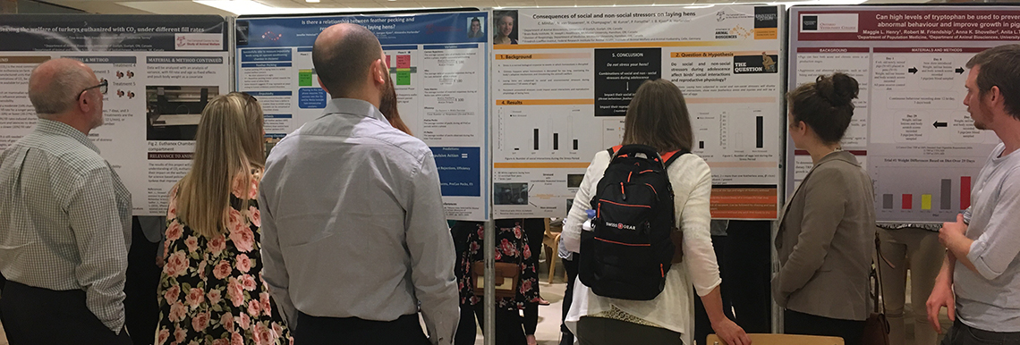 Symposium attendees view student research posters.