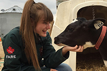 Amy kneels down to pet a calf.
