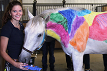 Equine management student stands with horse that has muscle groups drawn on.