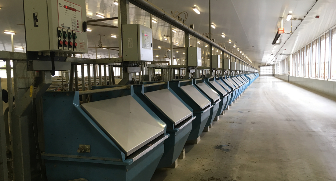 Row of blue bin feeders with silver lids