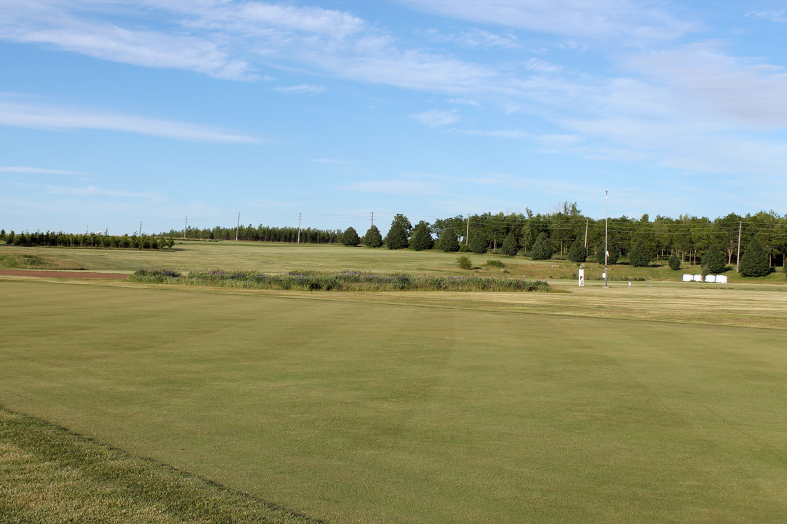 The grounds at the Guelph Turfgrass Institute on a sunny day.